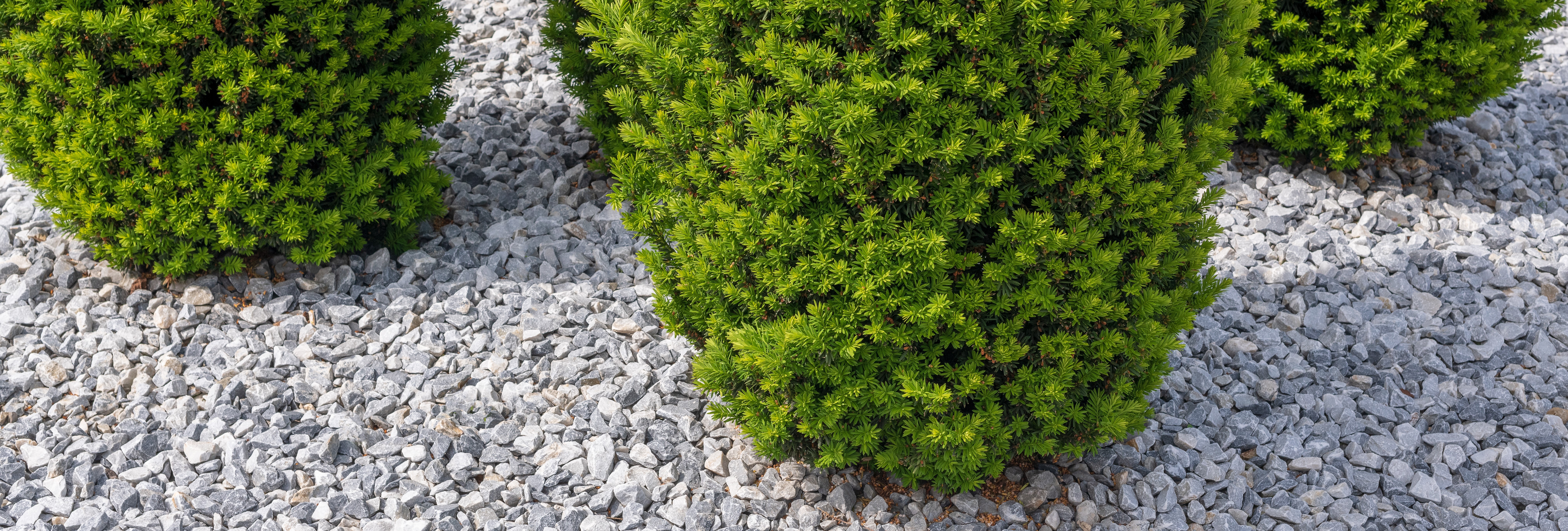 Decorative Gravels & Chippings Decorative Gravels & Chippings