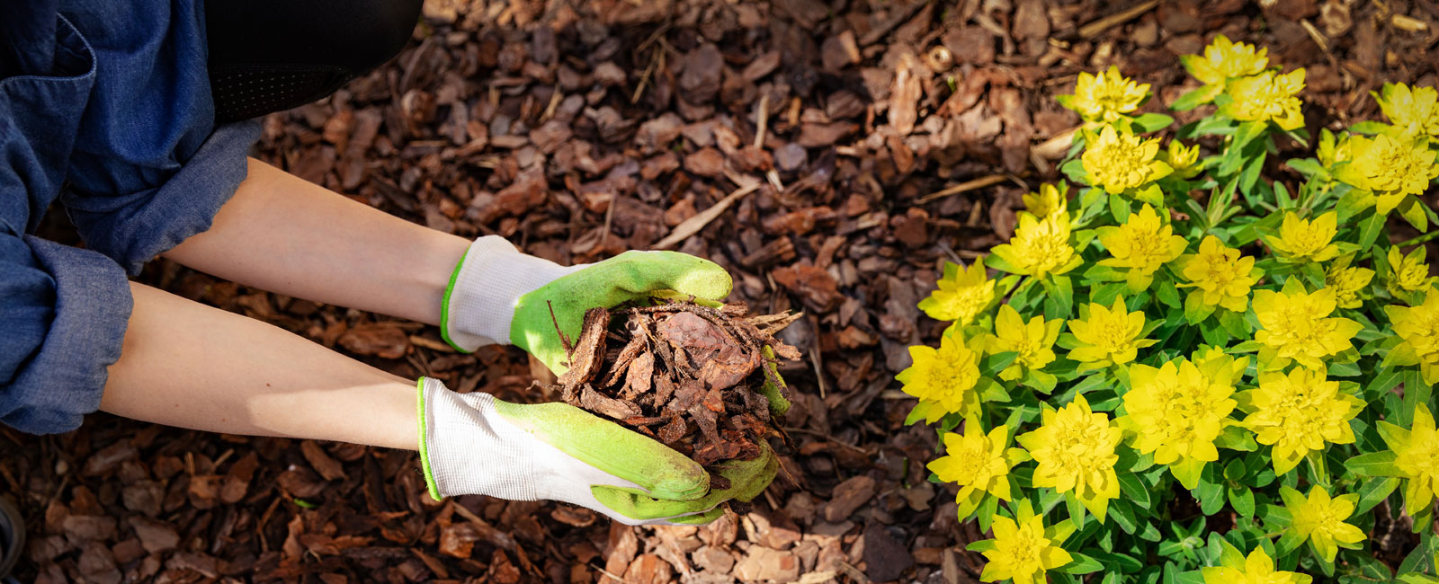 Garden/Landscaping Mulch and Bark