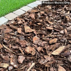 Play Bark Shown Dry