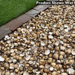Cockle Shell Mulch Shown Wet