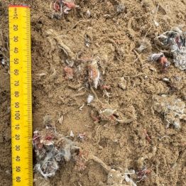 Fibre Sand Pre Mix Shown With Scale