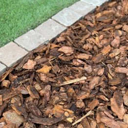 Pine Bark Shown On A Border