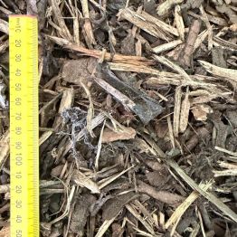 Play Bark Shown Dry