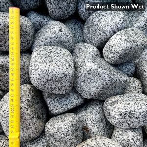 100-170mm Silver Speckled Cobbles With Scale Shown Wet