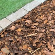 Pine Bark Shown On A Border