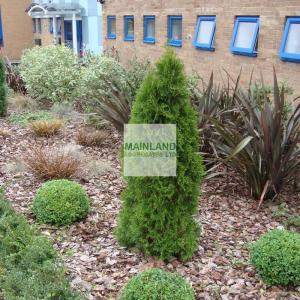 Garden/Landscaping Mulch and Bark