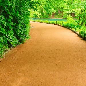 Self Binding Gravel & Path Toppings