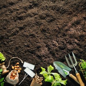 Topsoil