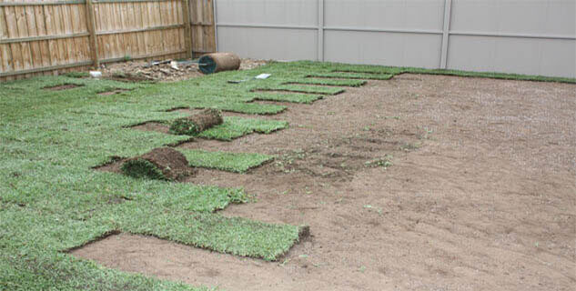 laying lawn turf
