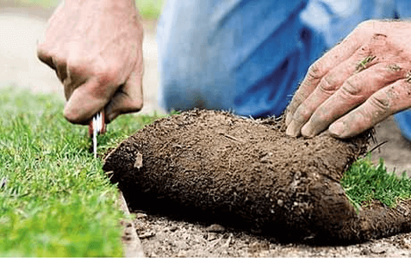 Trimming a lawn