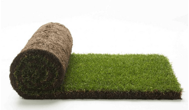 Unrolled Turf