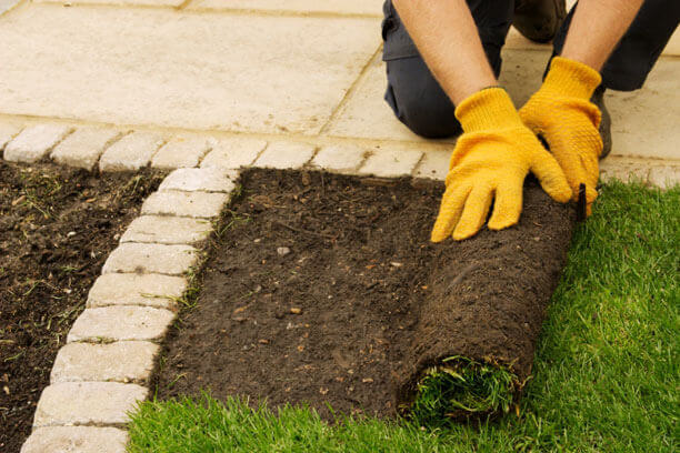 unrolled lawn turf unrolled lawn turf