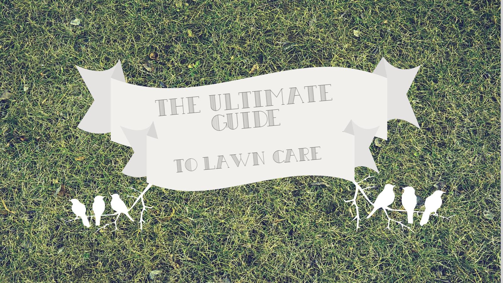 ultimate guide to lawn care banner